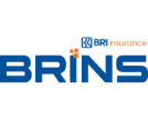 BRI Insurance